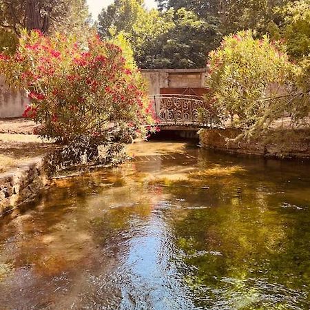 Appartement Fontaine De Vaucluse エクステリア 写真