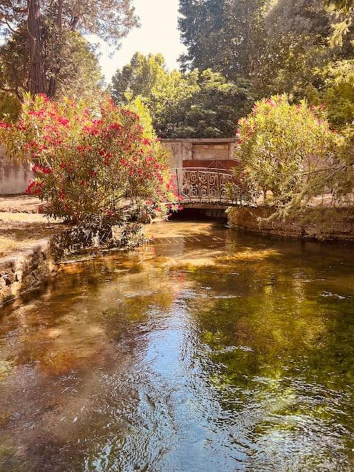 Appartement Fontaine De Vaucluse エクステリア 写真